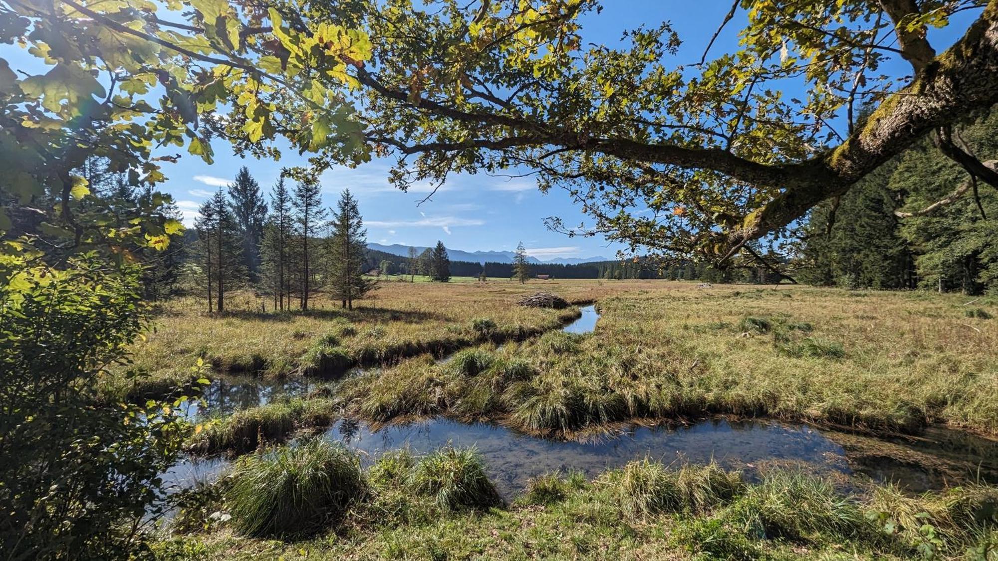 Liboria I Traumhafte Ferienwohnung In Aidling Am Riegsee Mit Atemberaubendem Panoramablick! Exterior foto